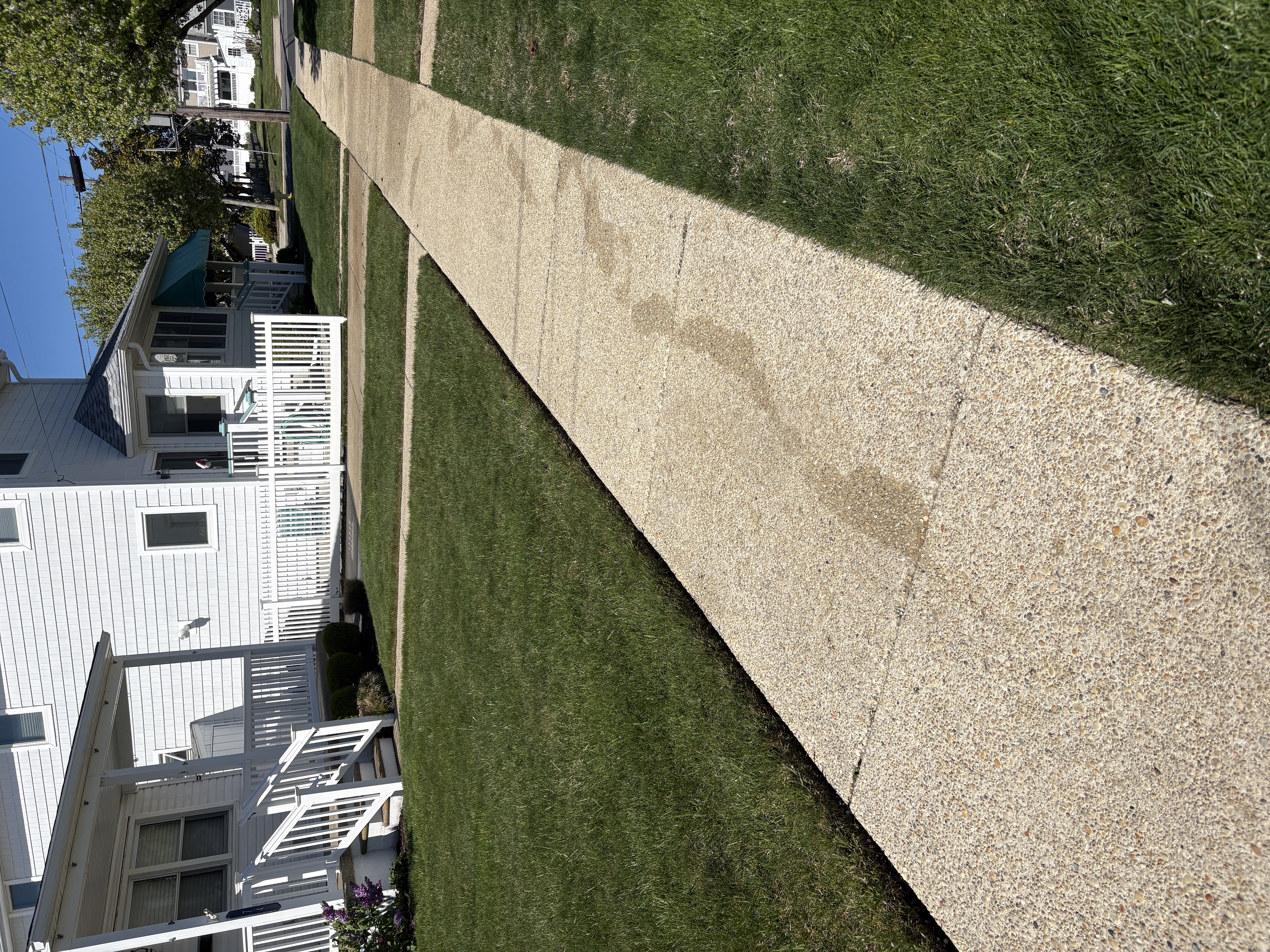 Concrete Cleaning